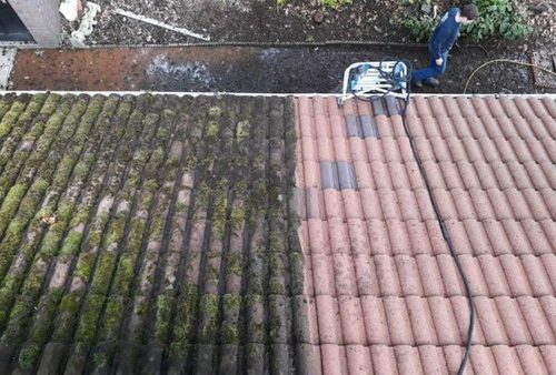 Roof & Moss Cleaning